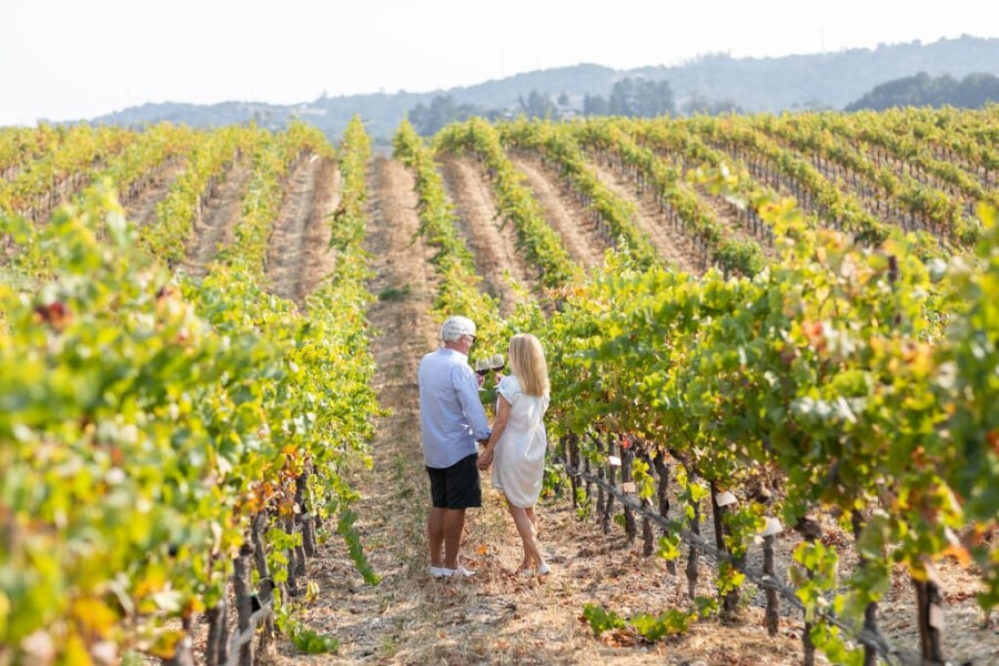 Crush on California: Sip, Savor and Celebrate with “Crushing on Local Wine” Package
