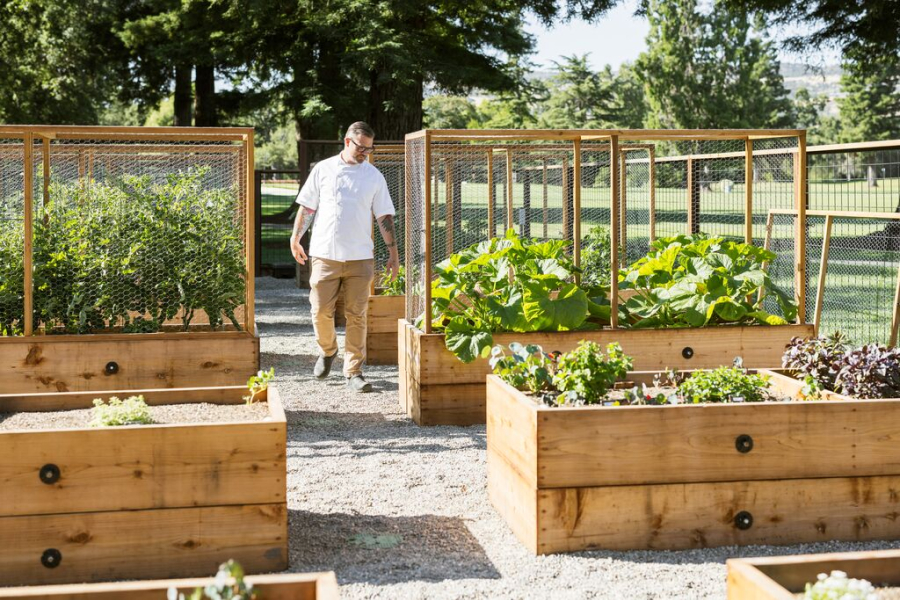 Silverado Resort Embraces Earth Day With Sustainable Initiatives And Garden Hour Returns