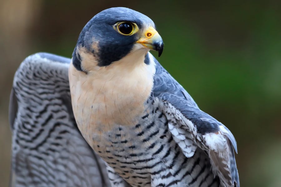 The Owner-Operator Advantage: What Sets Peregrine Hospitality Apart